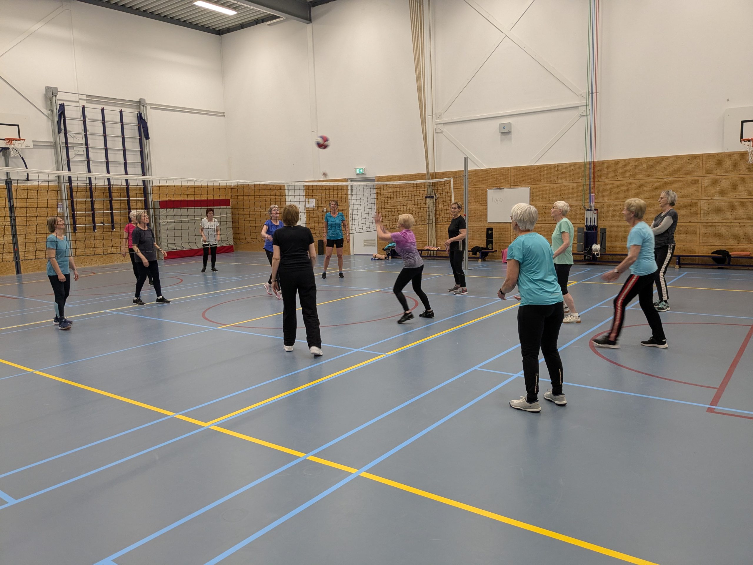 Keep Fit combi balspel